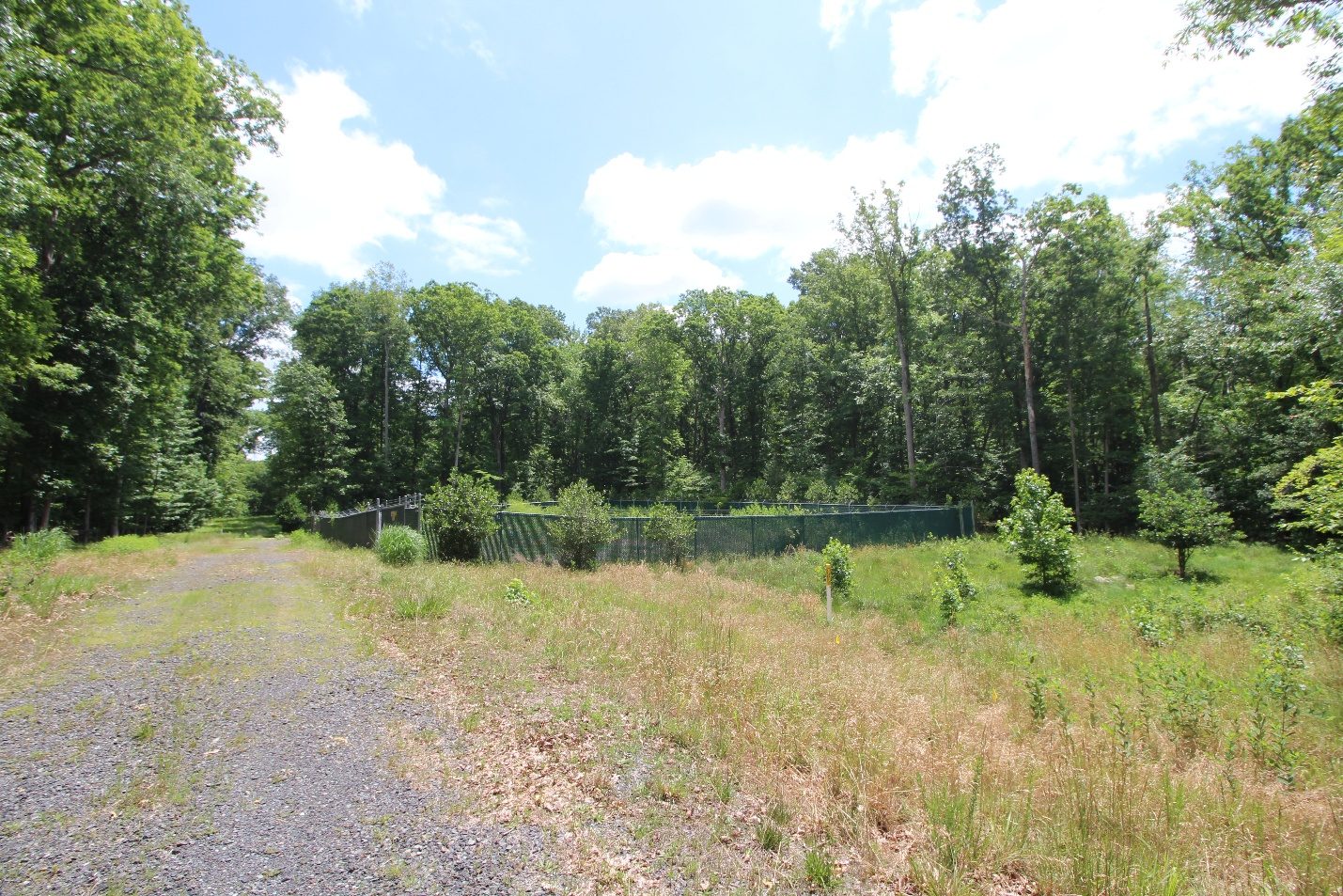 Open homesite area